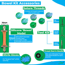 Load image into Gallery viewer, Bowel Anastomosis Training Kit Practice End to End with 20mm Diameter Model