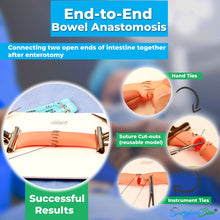 Load image into Gallery viewer, Bowel Anastomosis Training Kit Practice End to End with 20mm Diameter Model