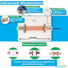 Load image into Gallery viewer, Bowel Anastomosis Training Kit Practice End to End with 20mm Diameter Model