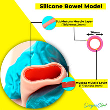 Load image into Gallery viewer, Bowel Anastomosis Training Kit Practice End to End with 30mm Diameter Model