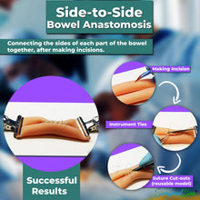 Load image into Gallery viewer, Bowel Anastomosis Training Kit Practice Side to Side with 20mm Diameter Models