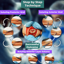 Load image into Gallery viewer, Bowel Anastomosis Training Kit Practice Side to Side with 20mm Diameter Models