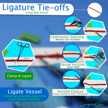 Load image into Gallery viewer, Knot-Tying Practice Kit Hand and Instrument Ties, Tying at Depth and Suture Ties