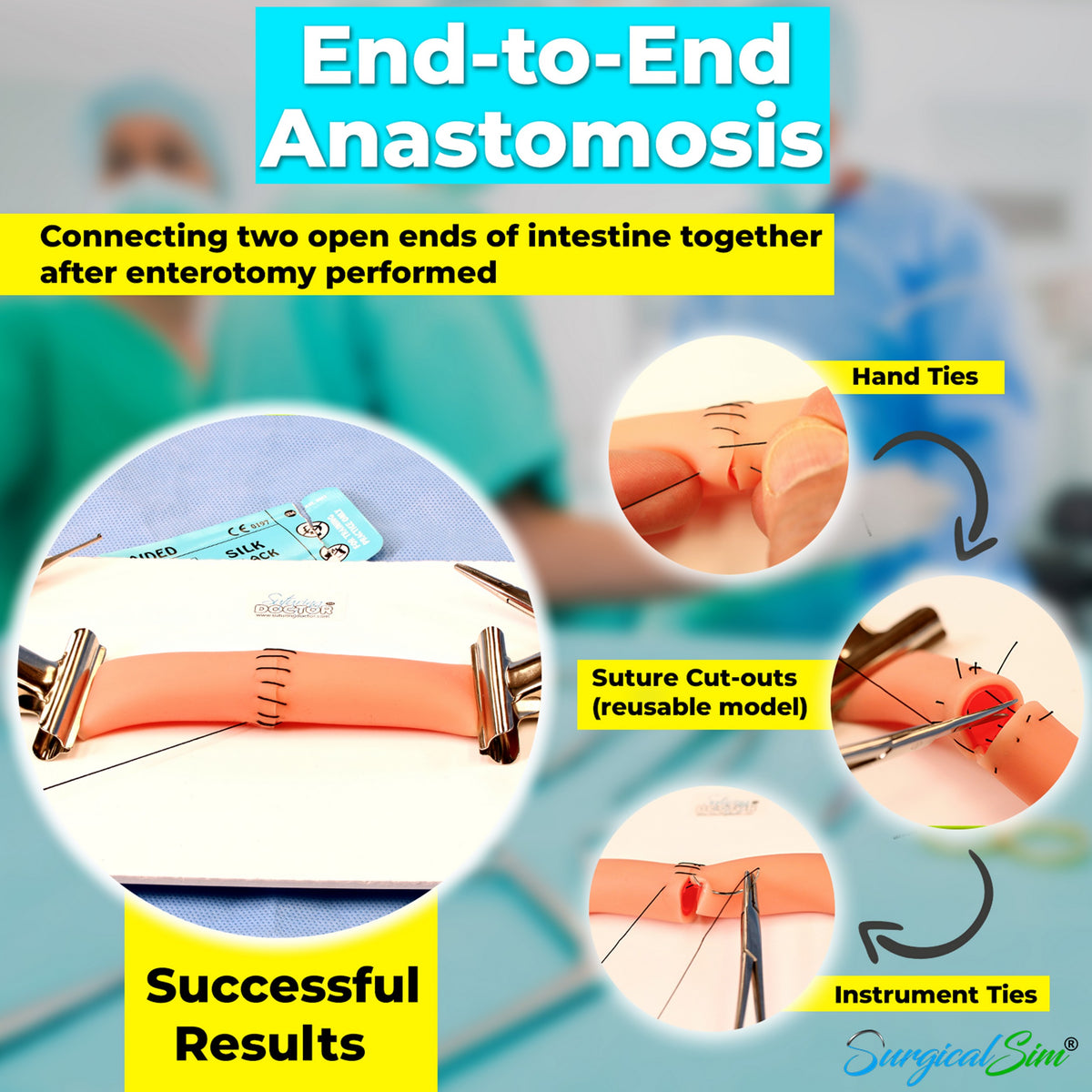 Bowel Anastomosis Training Kit Practice End to End with 30mm Diameter ...